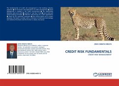 CREDIT RISK FUNDAMENTALS