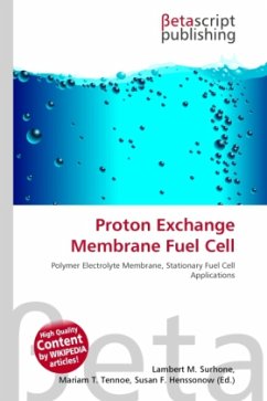 Proton Exchange Membrane Fuel Cell