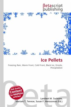 Ice Pellets