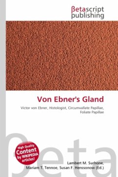 Von Ebner's Gland