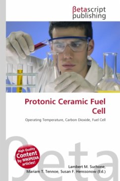 Protonic Ceramic Fuel Cell