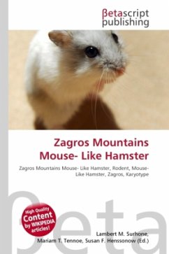 Zagros Mountains Mouse- Like Hamster