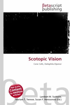 Scotopic Vision