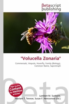 Cover ''Volucella Zonaria''