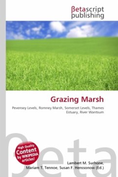 Grazing Marsh