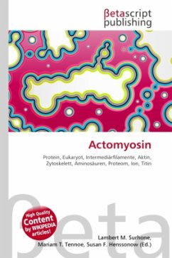 Actomyosin