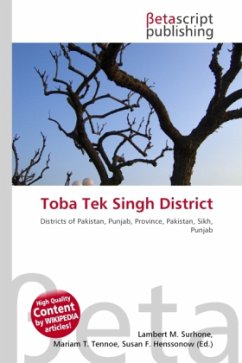 Toba Tek Singh District