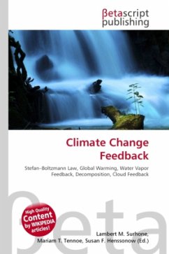 Climate Change Feedback