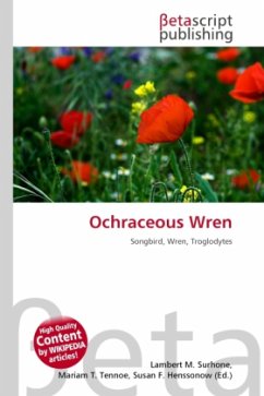 Ochraceous Wren