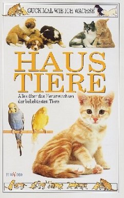 Haustiere Haustiere