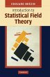 Introduction to Statistical Field Theory - Bild 1