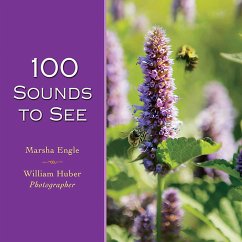 100 Sounds to See - Engle, Marsha; Huber, William
