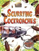 Scurrying Cockroaches