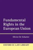 Fundamental Rights in the European Union