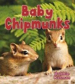 Baby Chipmunks - Kalman, Bobbie