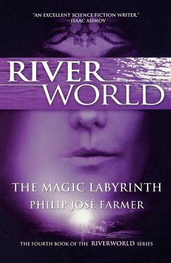 The Magic Labyrinth - Farmer, Philip Jose