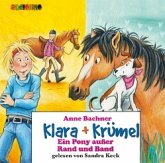 Ein Pony und zwei kleine Wunder / Klara & Krümel Bd.6, 2 Audio-CDs