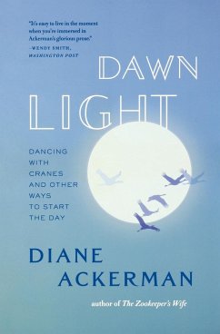 Dawn Light - Ackerman, Diane