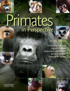 Cover Primates in Perspective