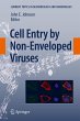 Cell Entry by Non-Enveloped Viruses - Bild 1
