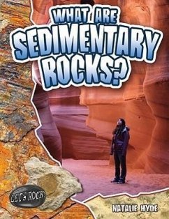 What Are Sedimentary Rocks? - Hyde, Natalie