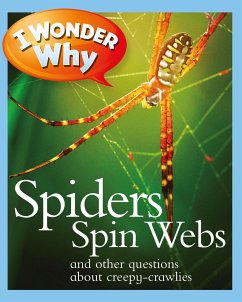 I Wonder Why Spiders Spin Webs - O'Neill, Amanda