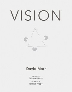 Vision - Marr, David (Late Professor of Psychology at the Massachusetts Insti