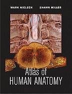 Atlas of Human Anatomy - Nielsen, Mark; Miller, Shawn D