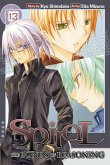 Spiral, Volume 13