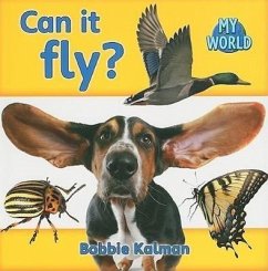 Can It Fly? - Kalman, Bobbie