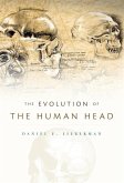 Evolution of the Human Head