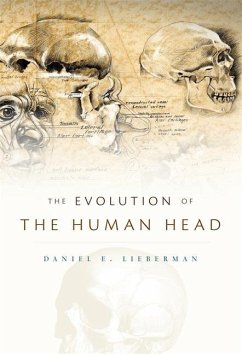Evolution of the Human Head - Lieberman, Daniel E.