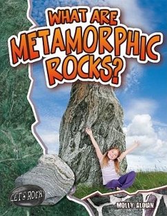 What Are Metamorphic Rocks? - Aloian, Molly