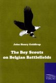 The Boy Scouts on Belgian Battlefields