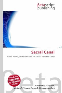 Sacral Canal