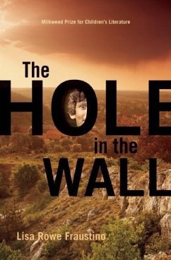 The Hole in the Wall - Fraustino, Lisa Rowe