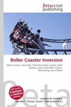 Roller Coaster Inversion