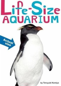 Life-Size Aquarium - Komiya, Teruyuki