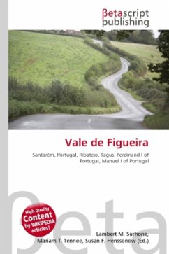 Cover Vale de Figueira