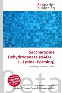 Saccharopine Dehydrogenase (NAD+ , L- Lysine- Forming)