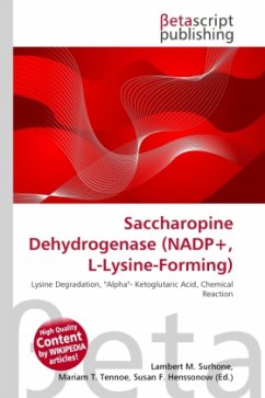 Saccharopine Dehydrogenase (NADP+, L-Lysine-Forming)