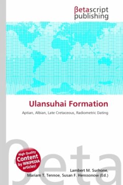 Cover Ulansuhai Formation