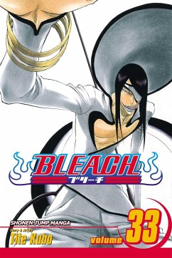 Cover Bleach, Vol. 33