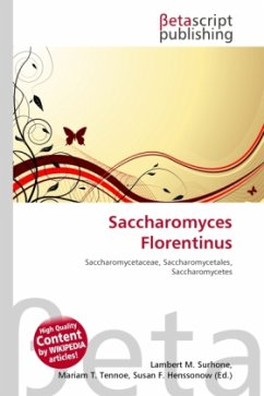 Saccharomyces Florentinus