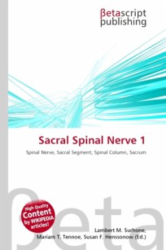 Sacral Spinal Nerve 1