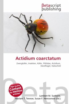 Actidium coarctatum