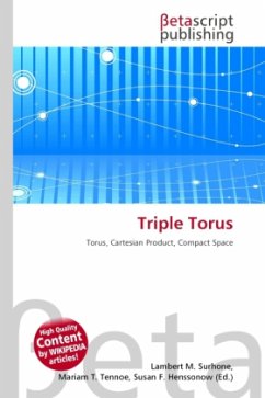 Triple Torus