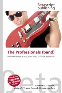 The Professionals (band)
