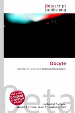 Oocyte Oocyte
