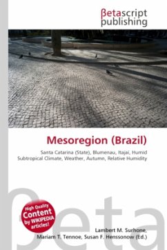 Mesoregion (Brazil)